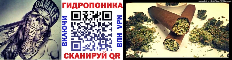 Каннабис план  Новая Ладога 